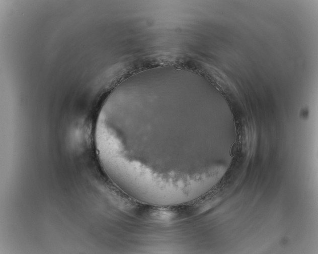 X0000092050610200709191122