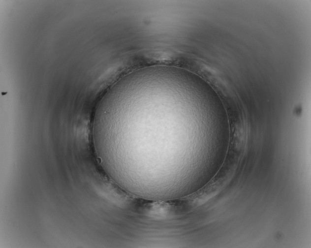 X0000092050612200709191122