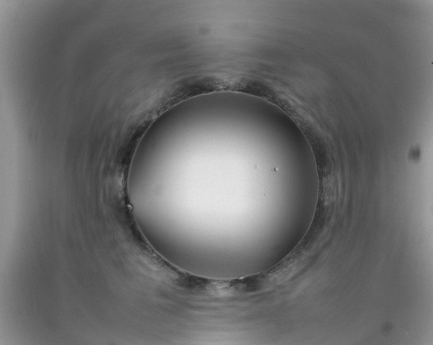 X0000092050613200709191122