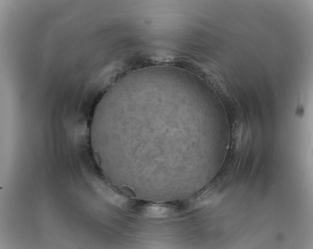 X0000092050614200709191122