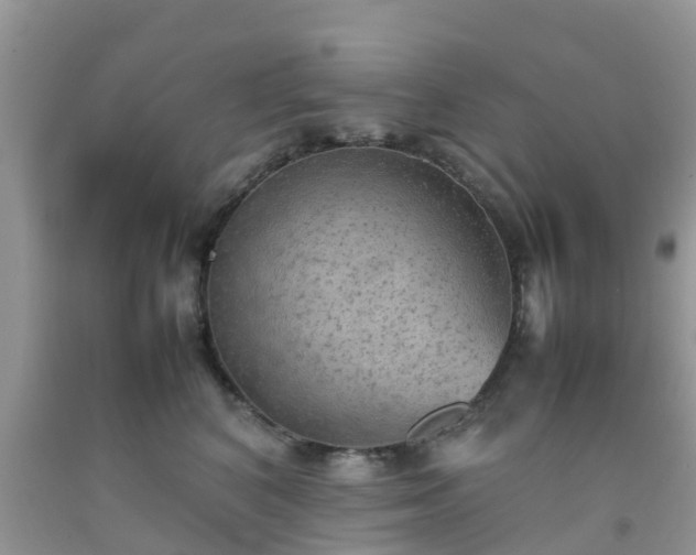 X0000092050616200709191122