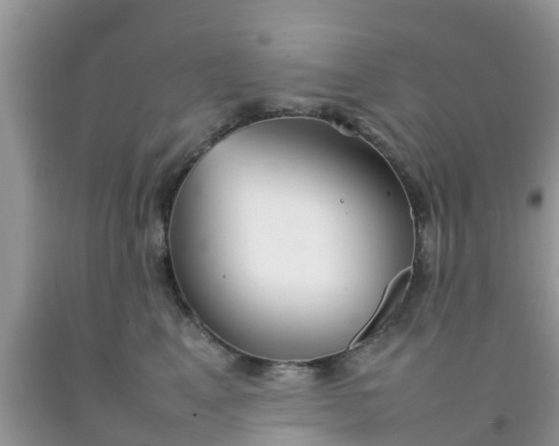 X0000092050617200709191122