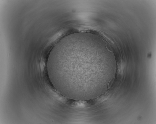 X0000092050618200709191122