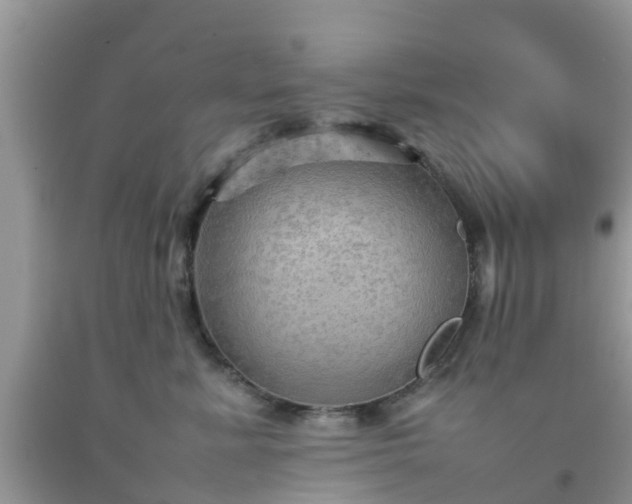 X0000092050619200709191122