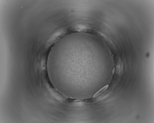 X0000092050620200709191122