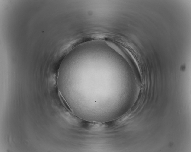 X0000092050621200709191122