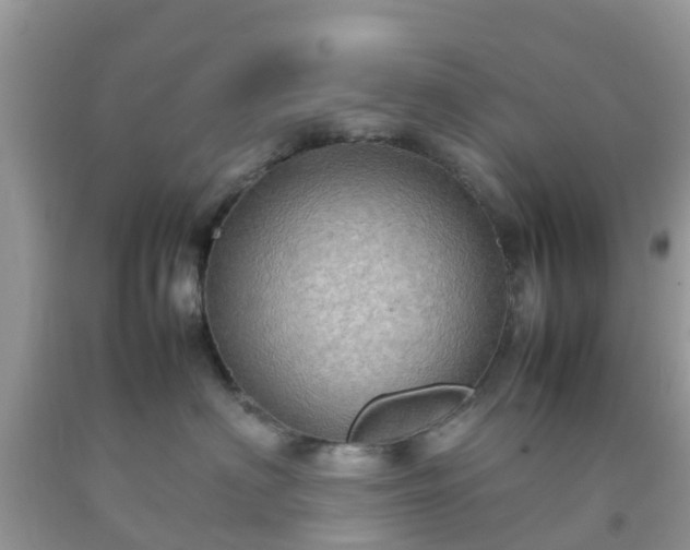 X0000092050622200709191122