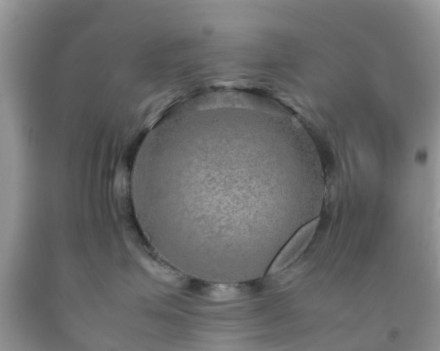 X0000092050623200709191122