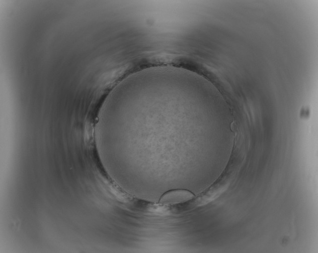 X0000092050624200709191122