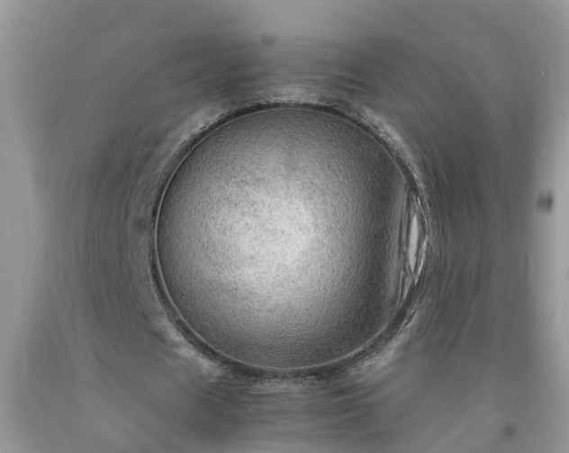 X0000092050625200709191121