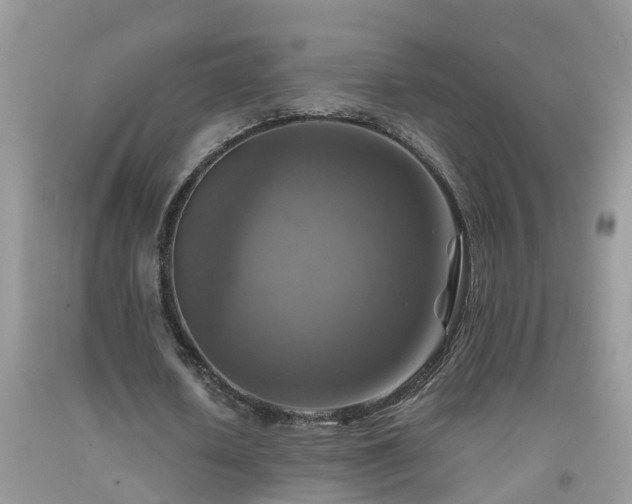 X0000092050626200709191121