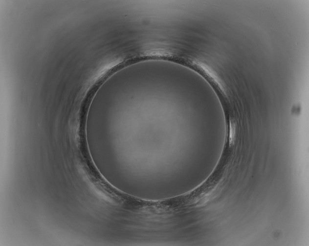 X0000092050627200709191121