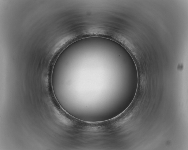 X0000092050629200709191121