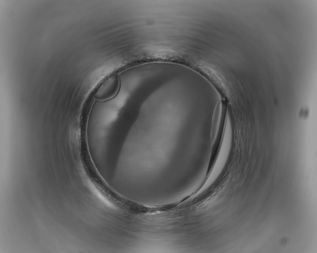 X0000092050630200709191121