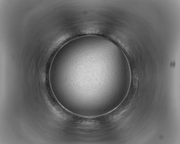 X0000092050631200709191121