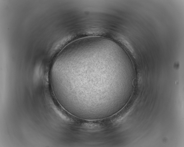 X0000092050633200709191121