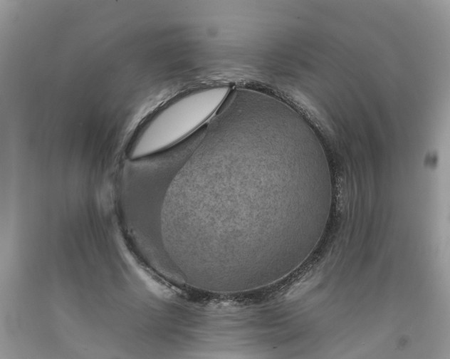 X0000092050634200709191121