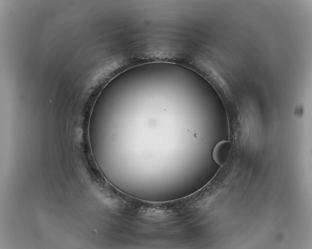 X0000092050635200709191121