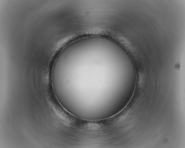 X0000092050636200709191121