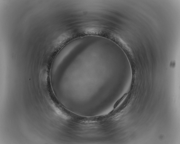 X0000092050637200709191121