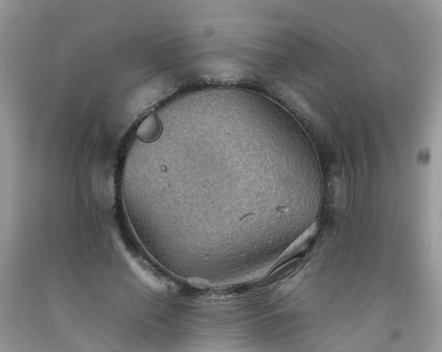 X0000092050638200709191121