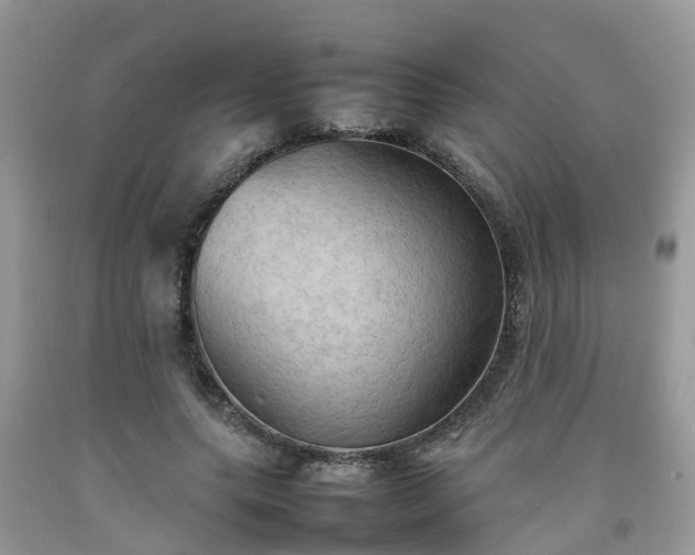 X0000092050639200709191121