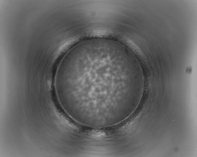 X0000092050640200709191121