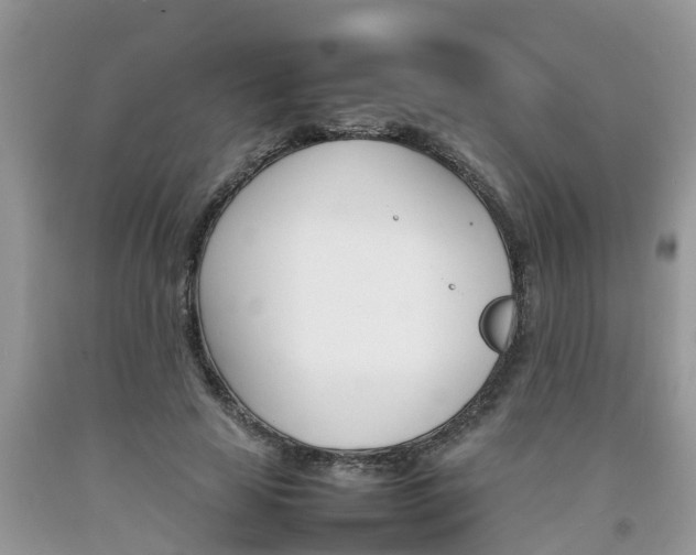 X0000092050641200709191122