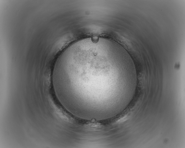 X0000092050642200709191122