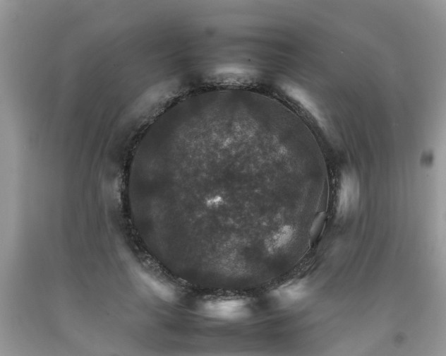 X0000092050643200709191122