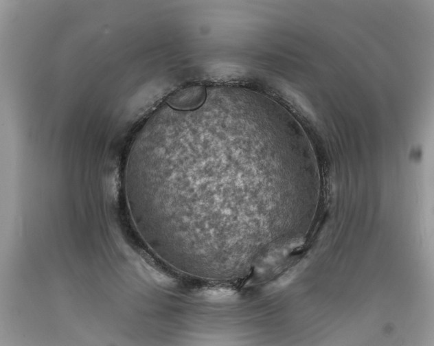 X0000092050644200709191122