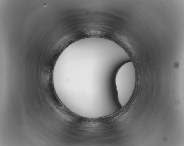 X0000092050645200709191122