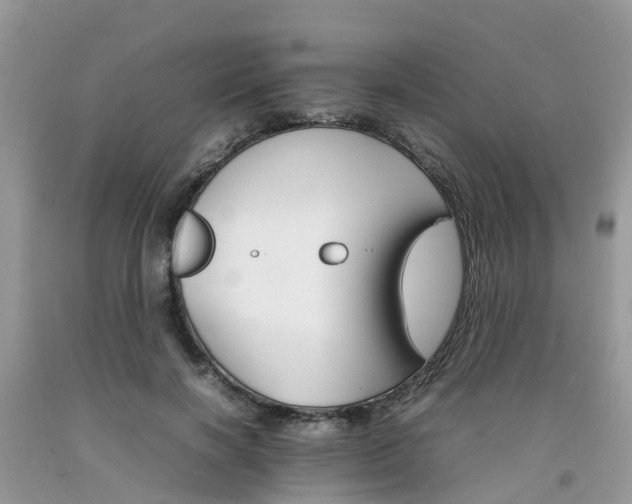 X0000092050646200709191122