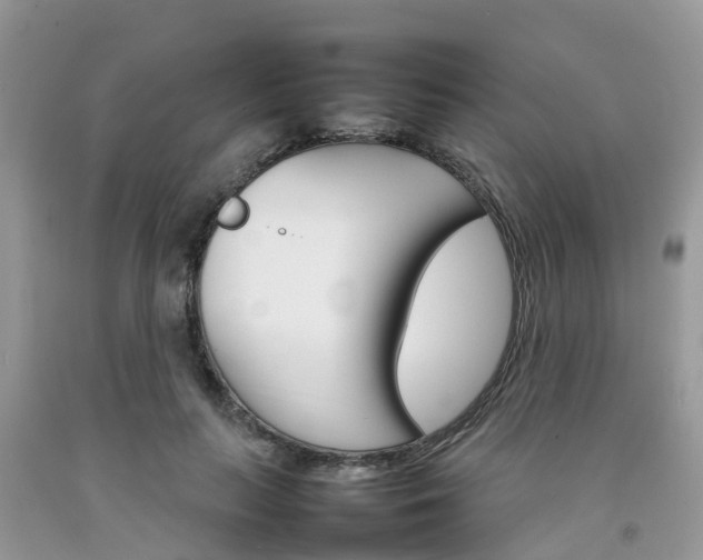 X0000092050647200709191122