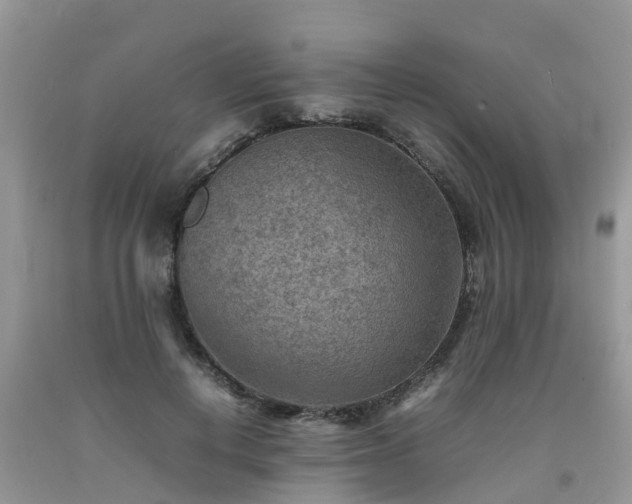 X0000092050648200709191122