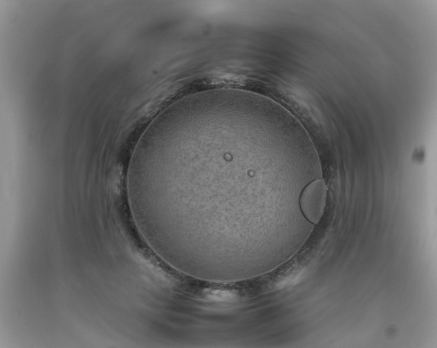 X0000092050649200709191122