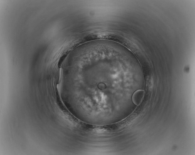 X0000092050650200709191122