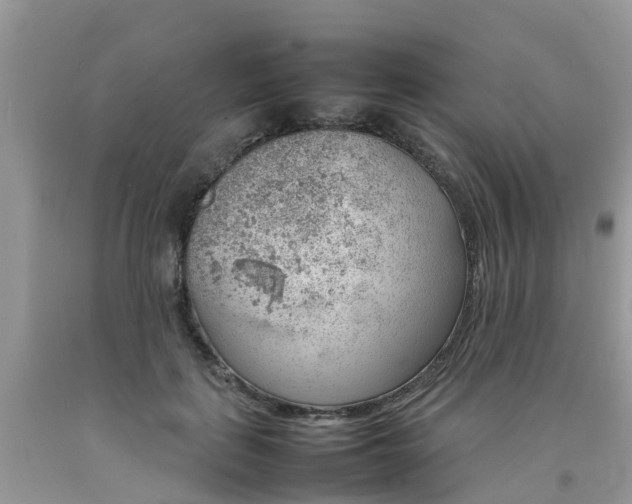 X0000092050651200709191122