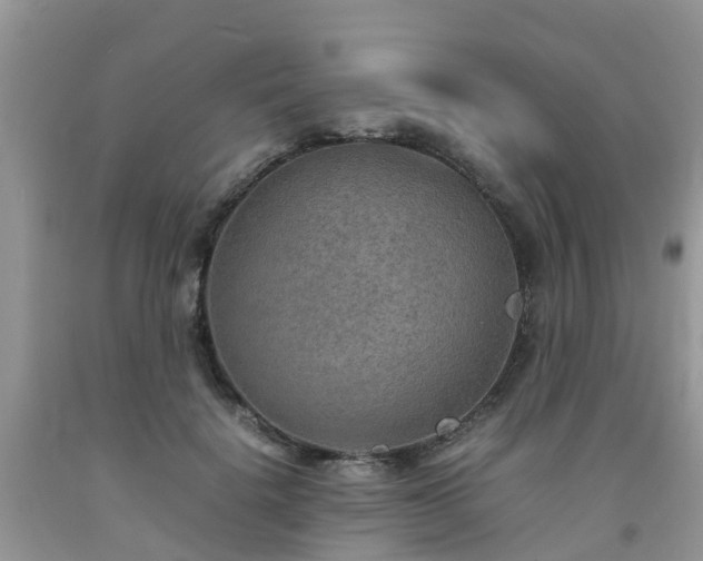 X0000092050652200709191122