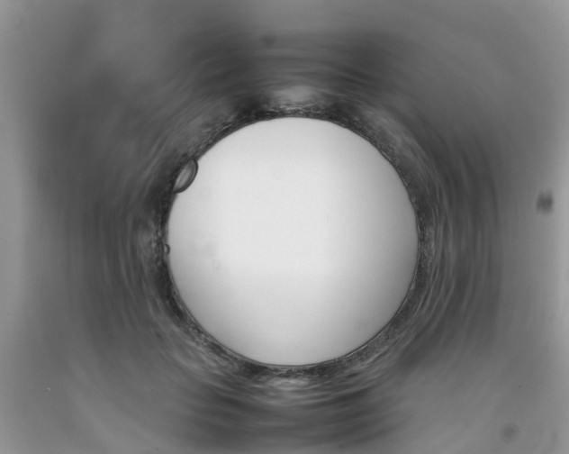 X0000092050653200709191122