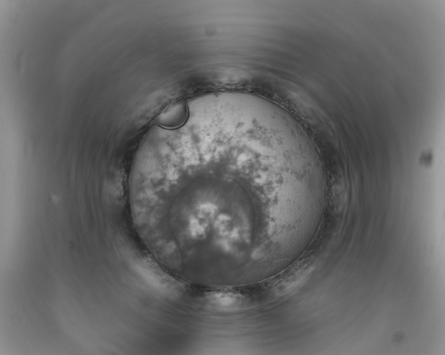 X0000092050654200709191122