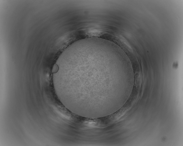 X0000092050655200709191122