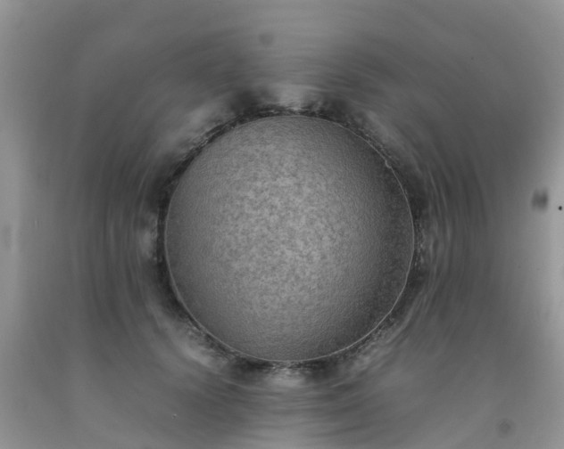 X0000092050656200709191122