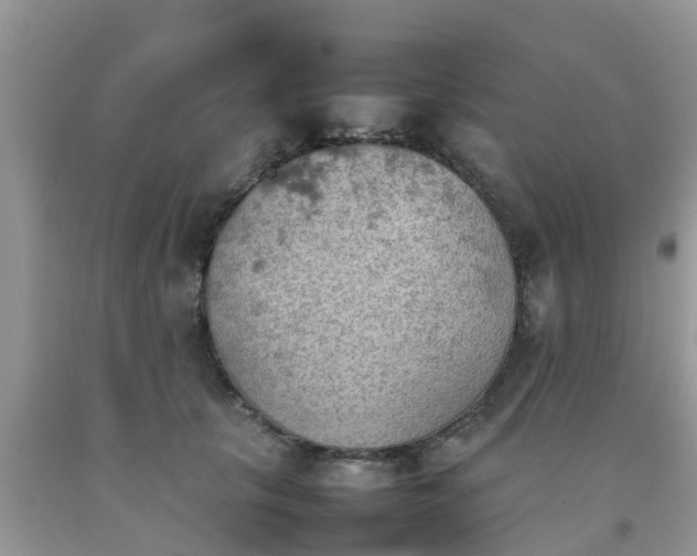 X0000092050657200709191122