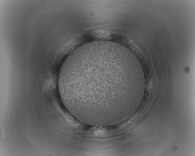 X0000092050658200709191122