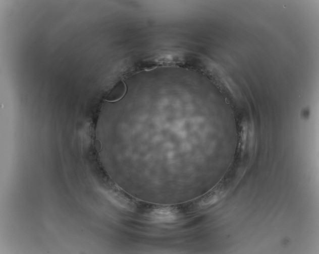 X0000092050659200709191122