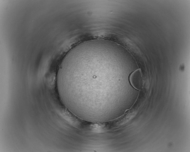 X0000092050660200709191122