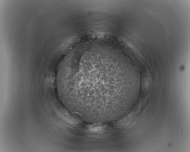 X0000092050661200709191122