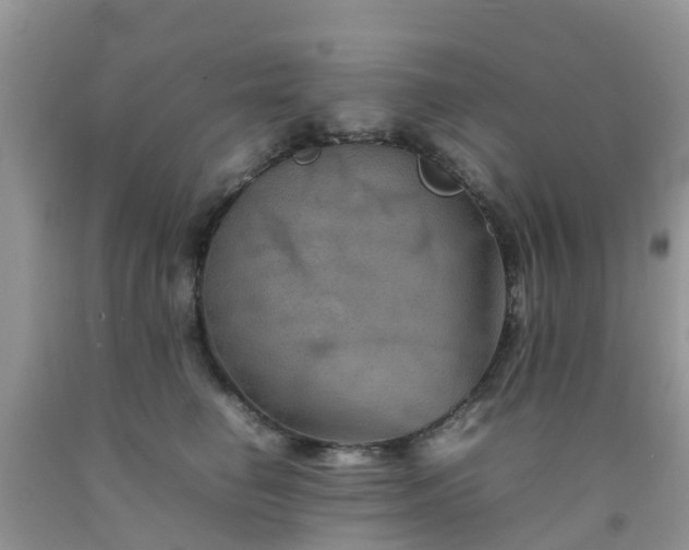 X0000092050662200709191122