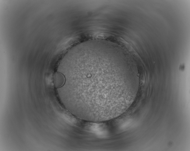 X0000092050663200709191122